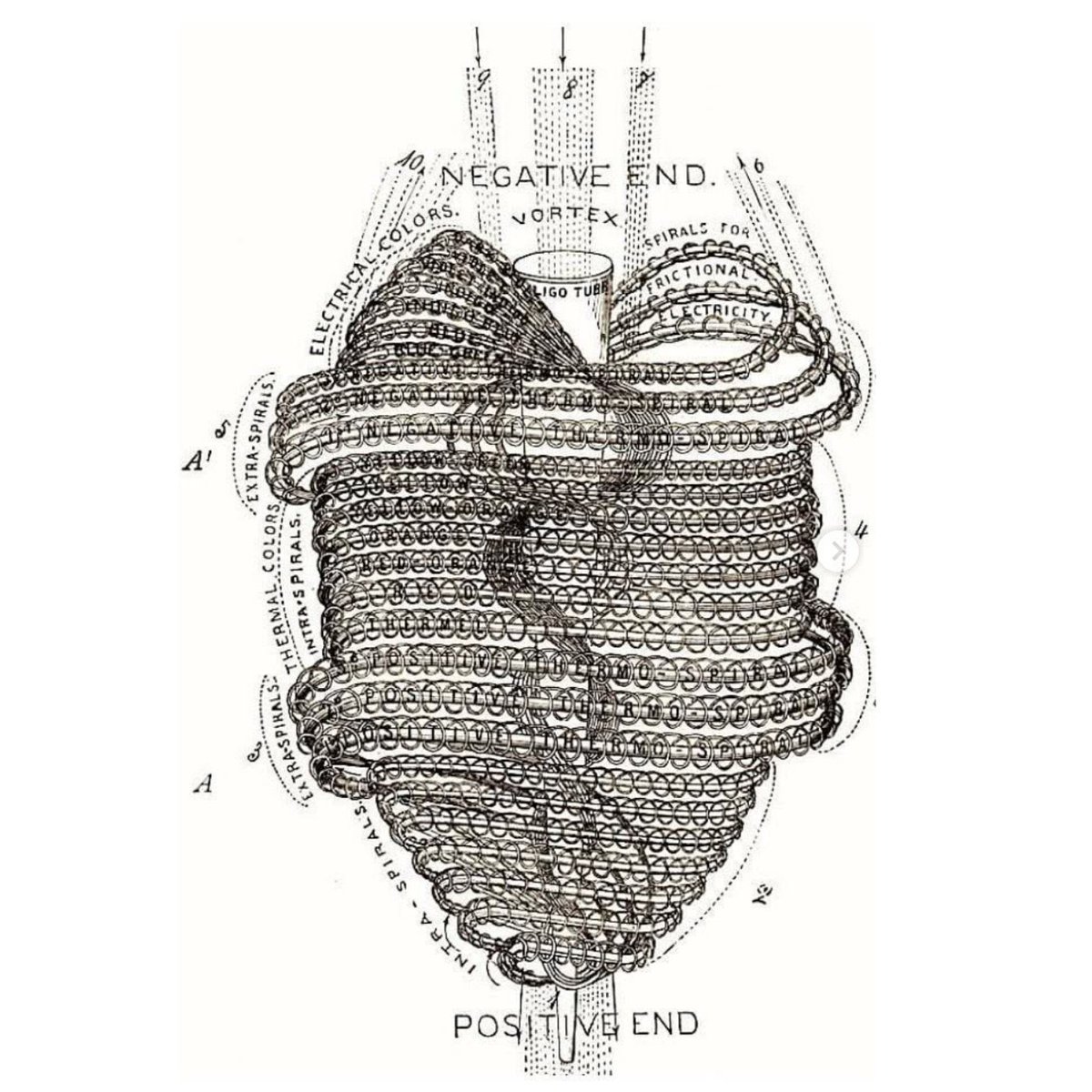 mtperformancedk's tweet photo. Your heart is not a pump

It’s a vortex with a gigantic magnetic field, driven by flow and propelled by negatively charged EZ water within your body.

This is why it doesn’t stop immediately when you die.

You are a bioelectrical vortex system. Don’t let anyone convince you otherwise.

And by the way, this is why humans are so good at detecting other people’s vibes when they enter a room.