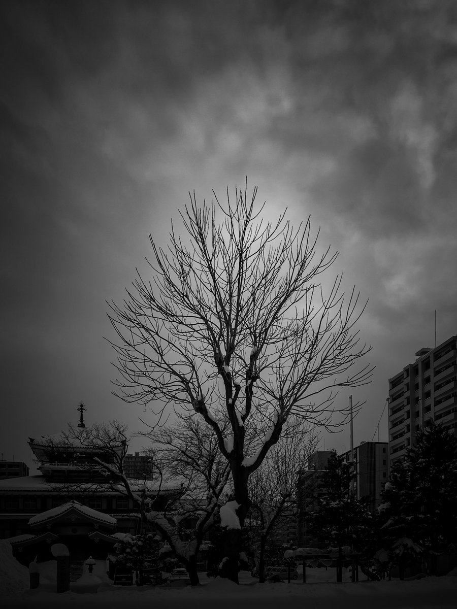 ken | one by one tweet media