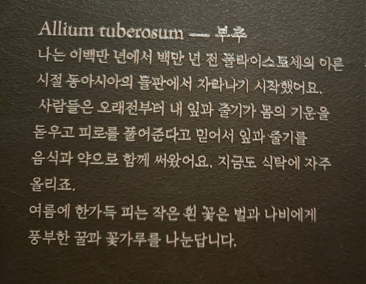 식물덕후분들, 서울시립미술관 서소문관 가세요. 1층서 최재은 작가(b.1953)개인전하는데 다른 작품들도 훌륭하지만<미명>넘 좋아요. 작가가 채집한 560점 들꽃과 들풀을 기록한 대작.식물들이 자기 이야기 하는것처럼 인간과의 교류 역사를 기록+음향설치로 산업혁명 후 멸종된 식물들 존재 호명.