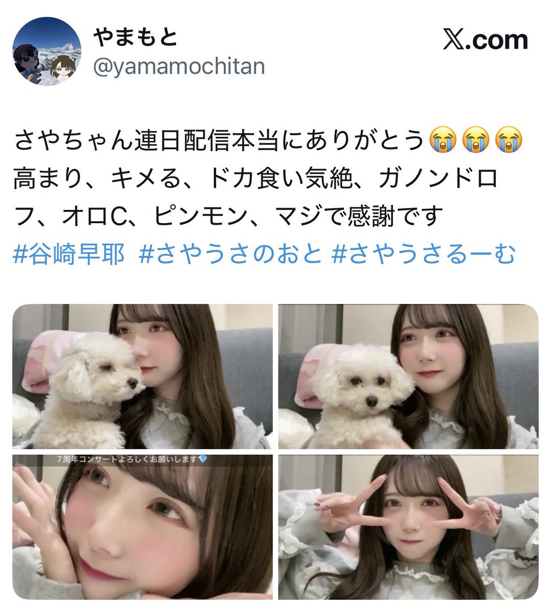 さやちゃんお話会で神に #谷崎早耶 #さやうさのおと