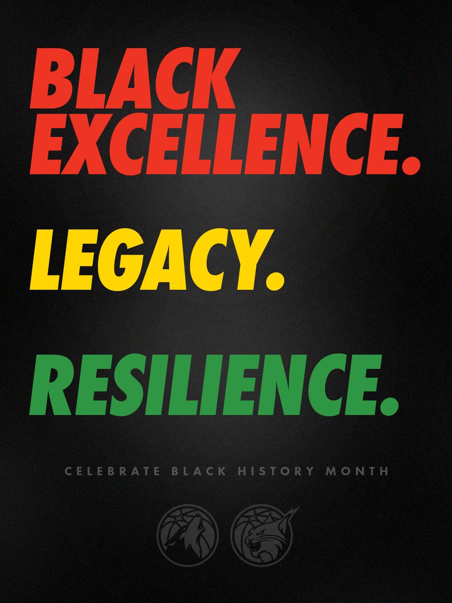 Timberwolves & Lynx Community Impact tweet media