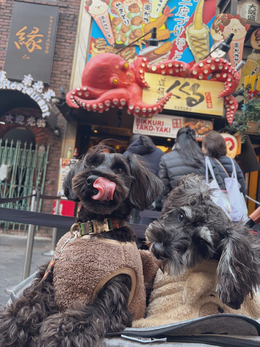 VTR250CBR250's tweet photo. 家族みんなで旅行🚗✨
念願のハンズマン✊♡ https://t.co/Ddt1T6RUtS