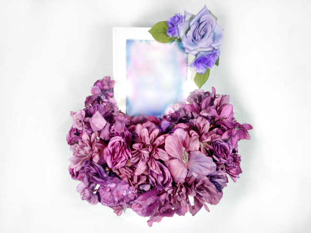 Yatsugi Flower Dye Lab(ヤツラボ) tweet media