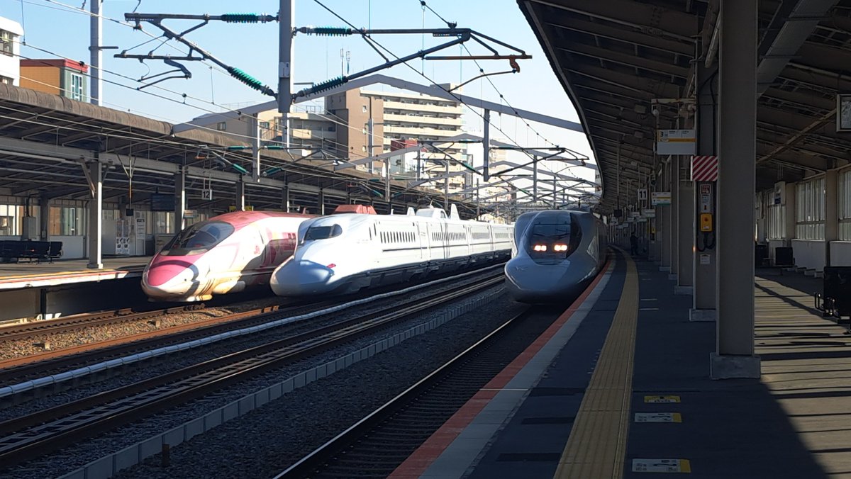 STLの旅、写真垢 tweet media