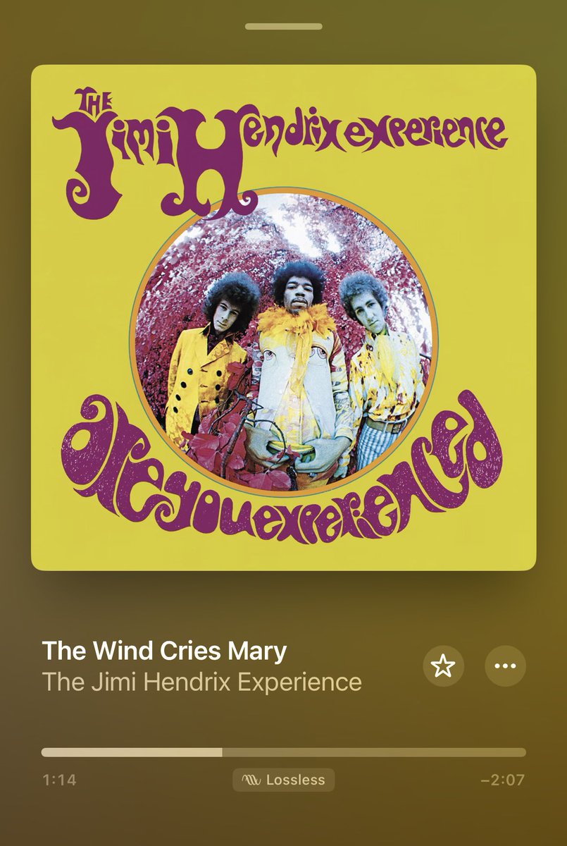 shplangerz's tweet photo. And the wind it cries… https://t.co/DrhHFRrSzn
