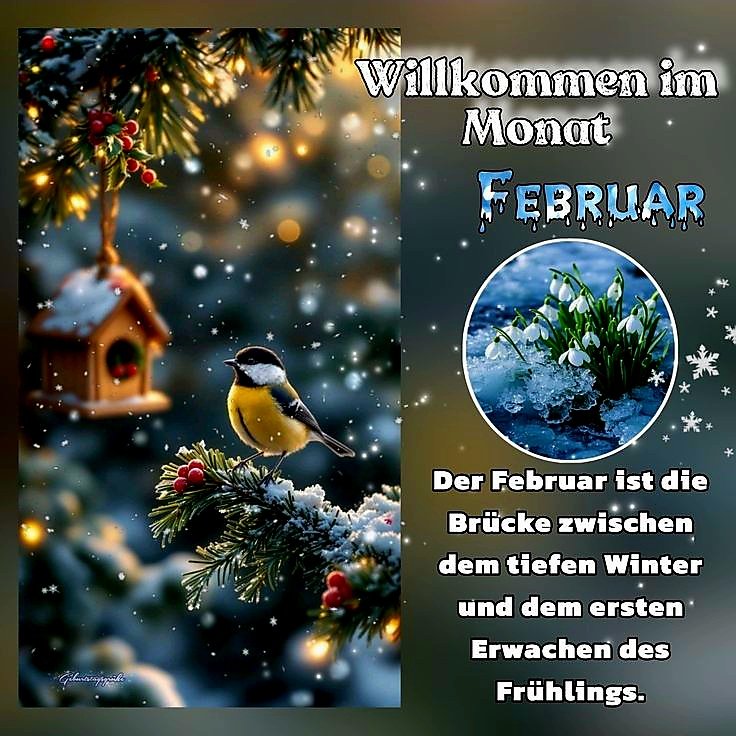 Guten Morgen ☕ ihr Lieben🙋‍♀️