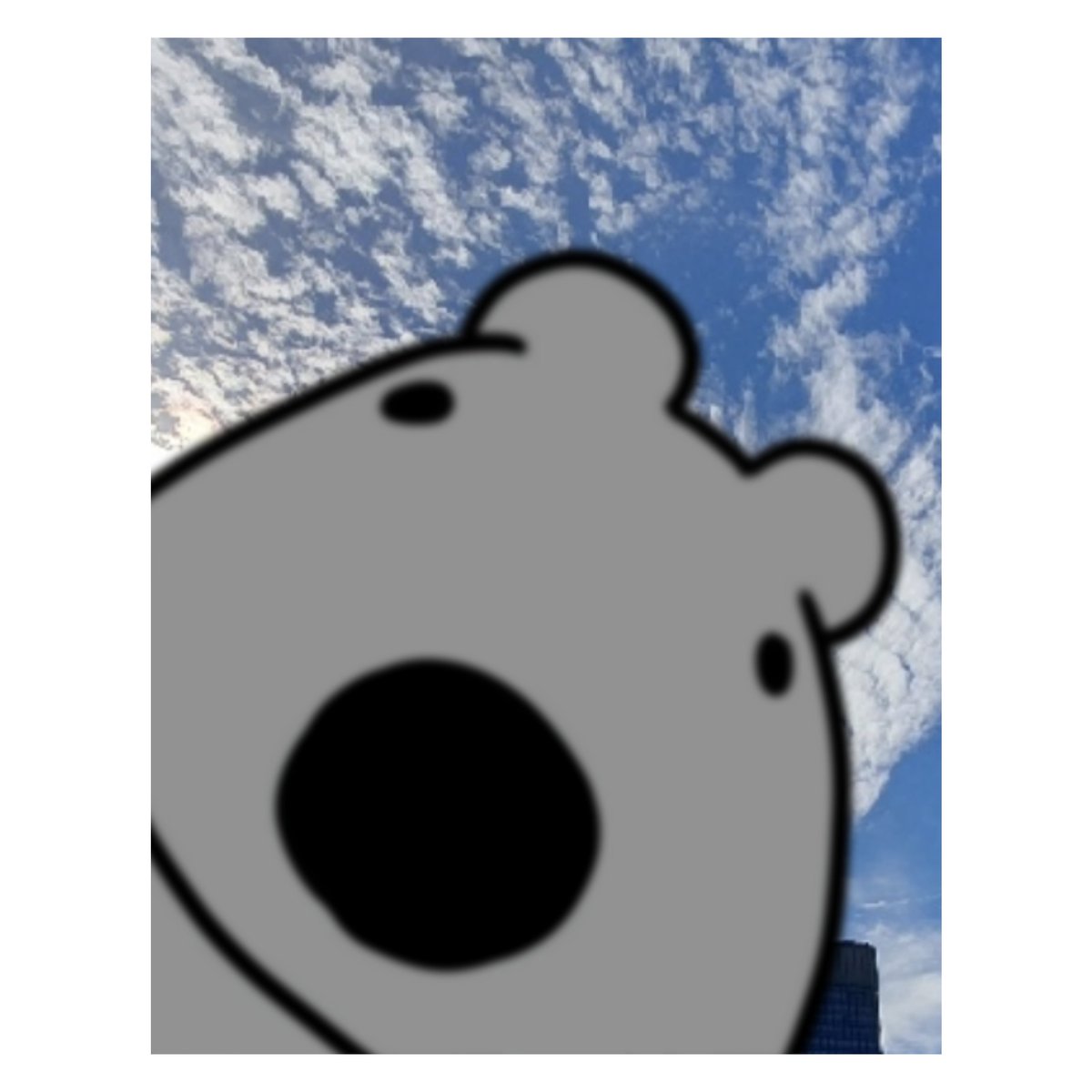 데굴쥐 tweet media