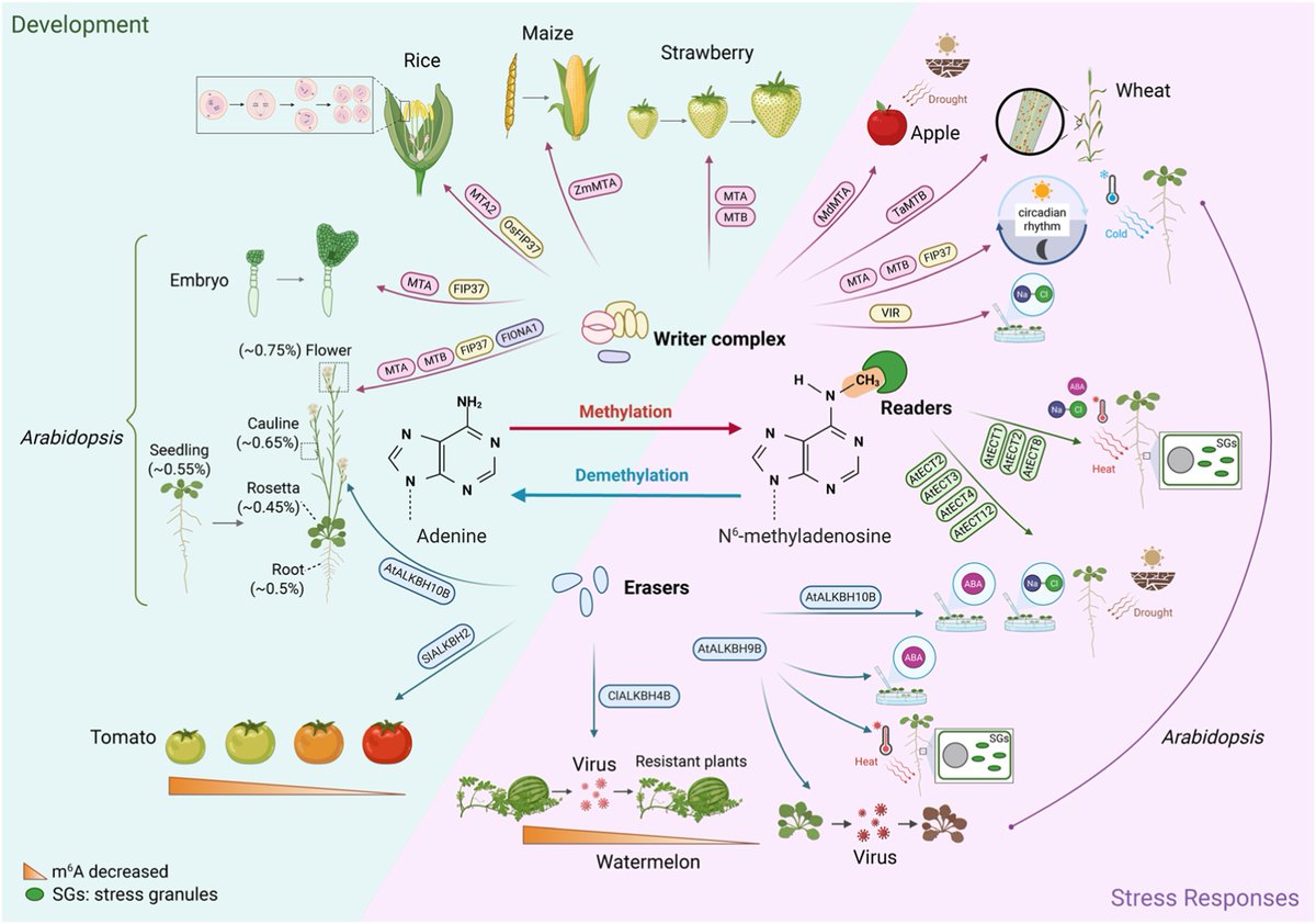 aBIOTECH tweet media