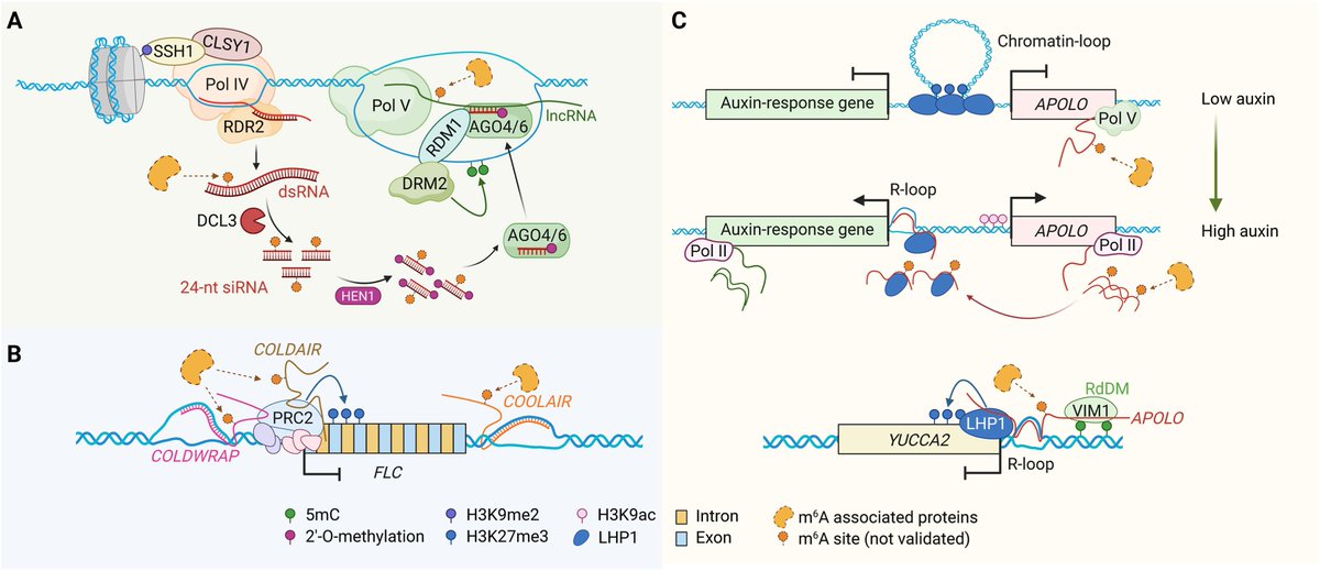 aBIOTECH tweet media