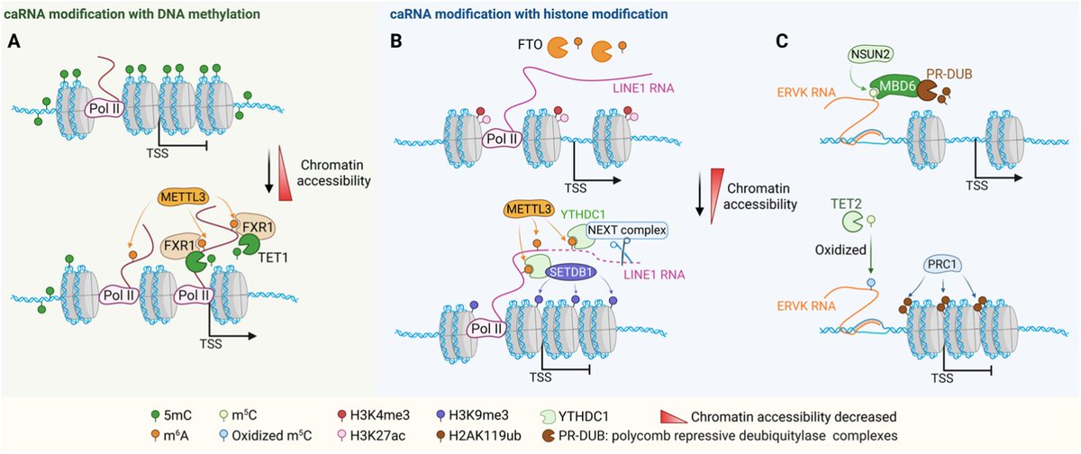 aBIOTECH tweet media