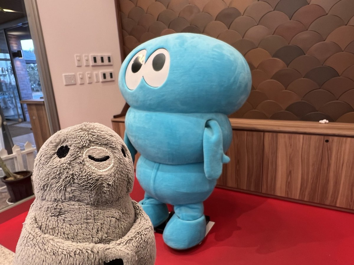 アナペンギン 2年ぶりにペンギンの赤ちゃんが仲間入りマゼランペンギンの赤ちゃん