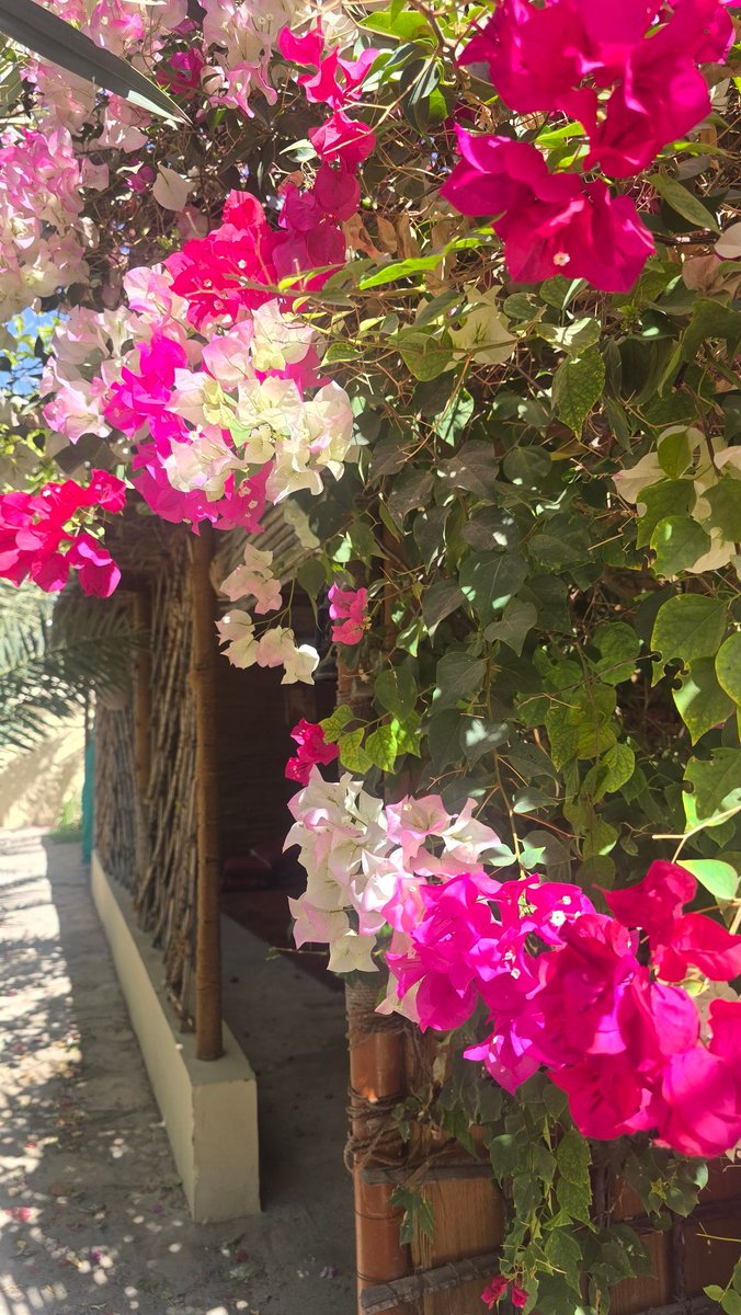 هكذا الأصدقاء كثيرون ثم قليلون فقليلون حتى لا يتبقى معك إلا من كان الأصدق بينهم.