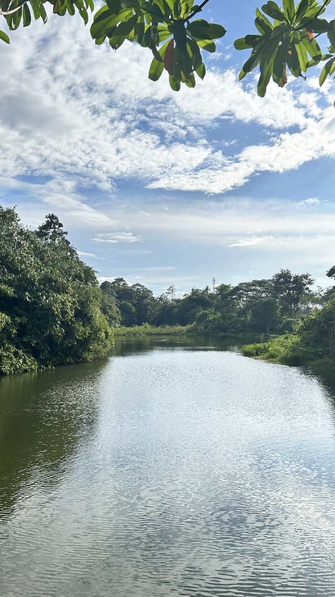 100auraa's tweet image. Biar cpt spawn ikan secret nya pke rod ap yh?