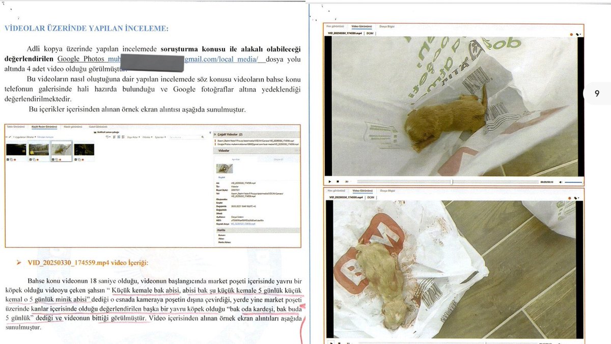 Samet Zeybek tweet media