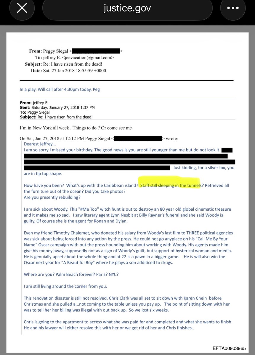 hollywood2pt0's tweet image. For anyone still questioning if there are TUNNELS below Jeffrey Epstein’s house and buildings on his island Little St. James…

Here you go 👇🏼  Definitely TUNNELS