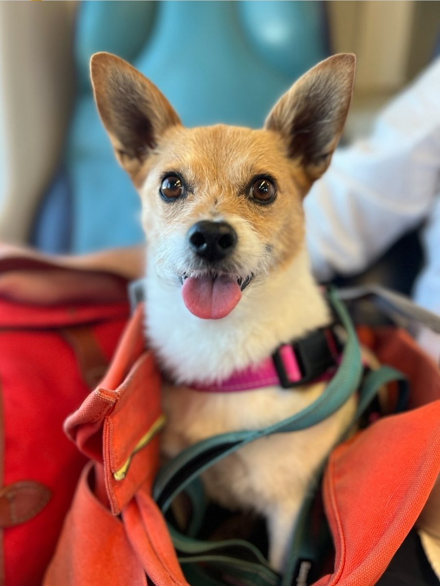 Micheal Cyril Creighton tweet media