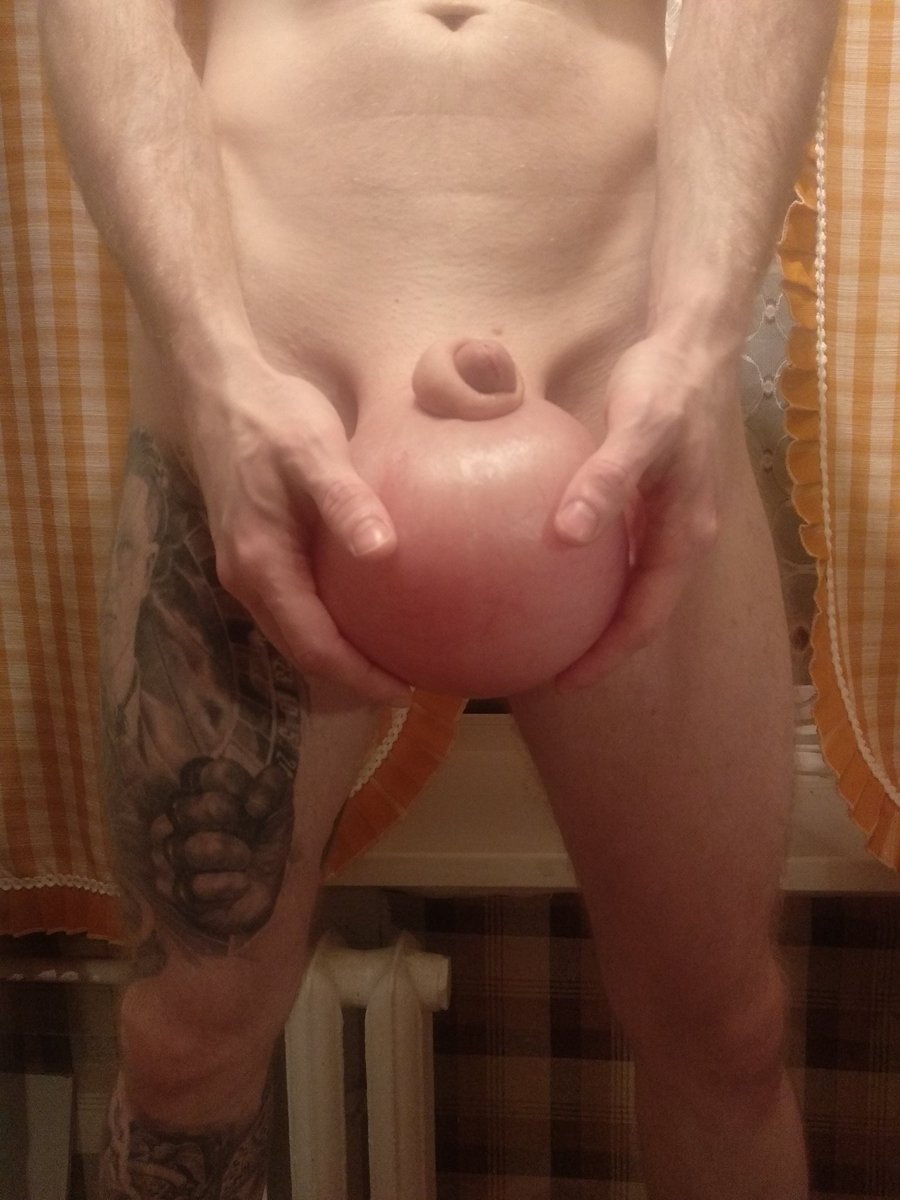 Good boy tweet media