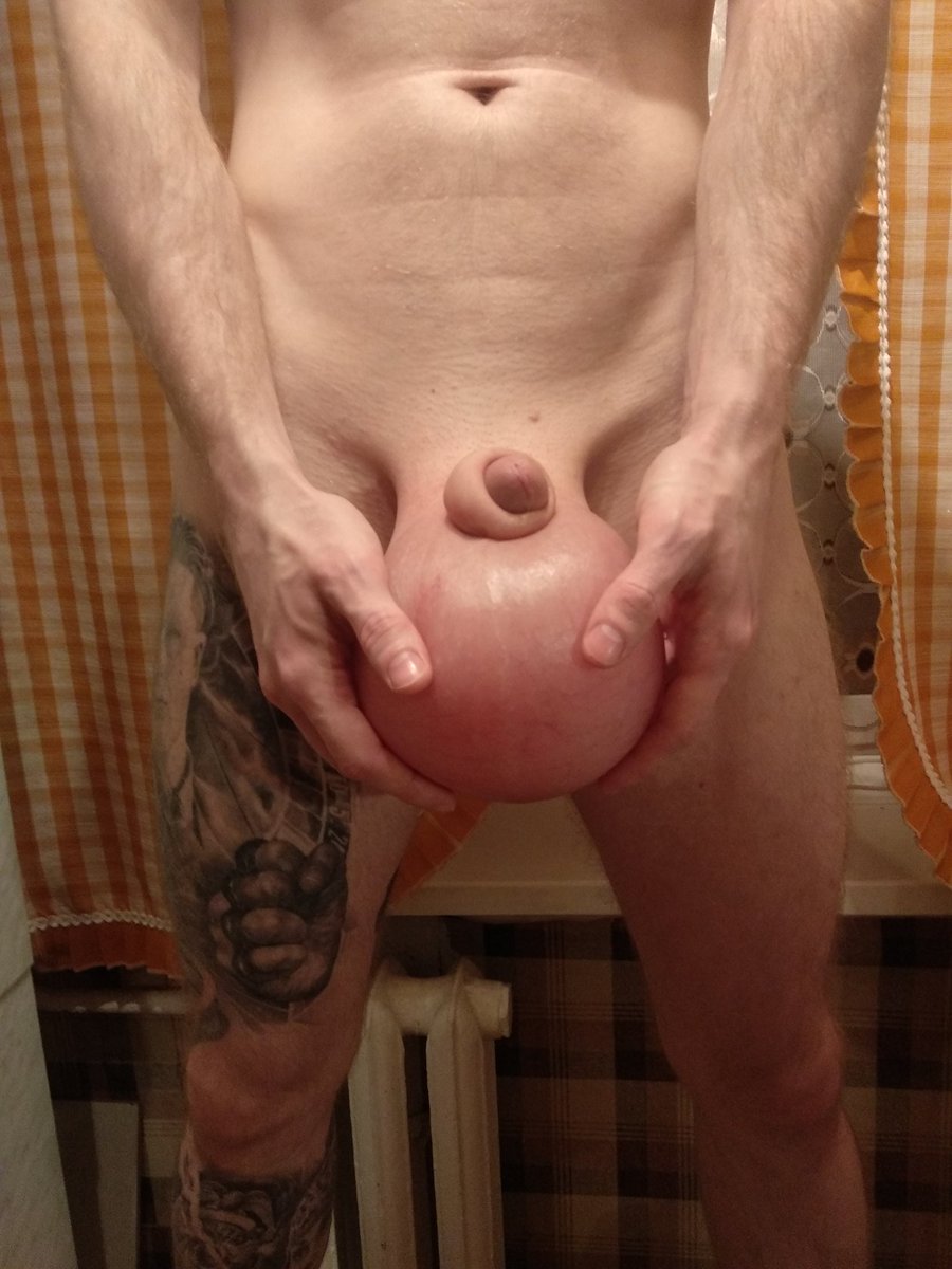 Good boy tweet media