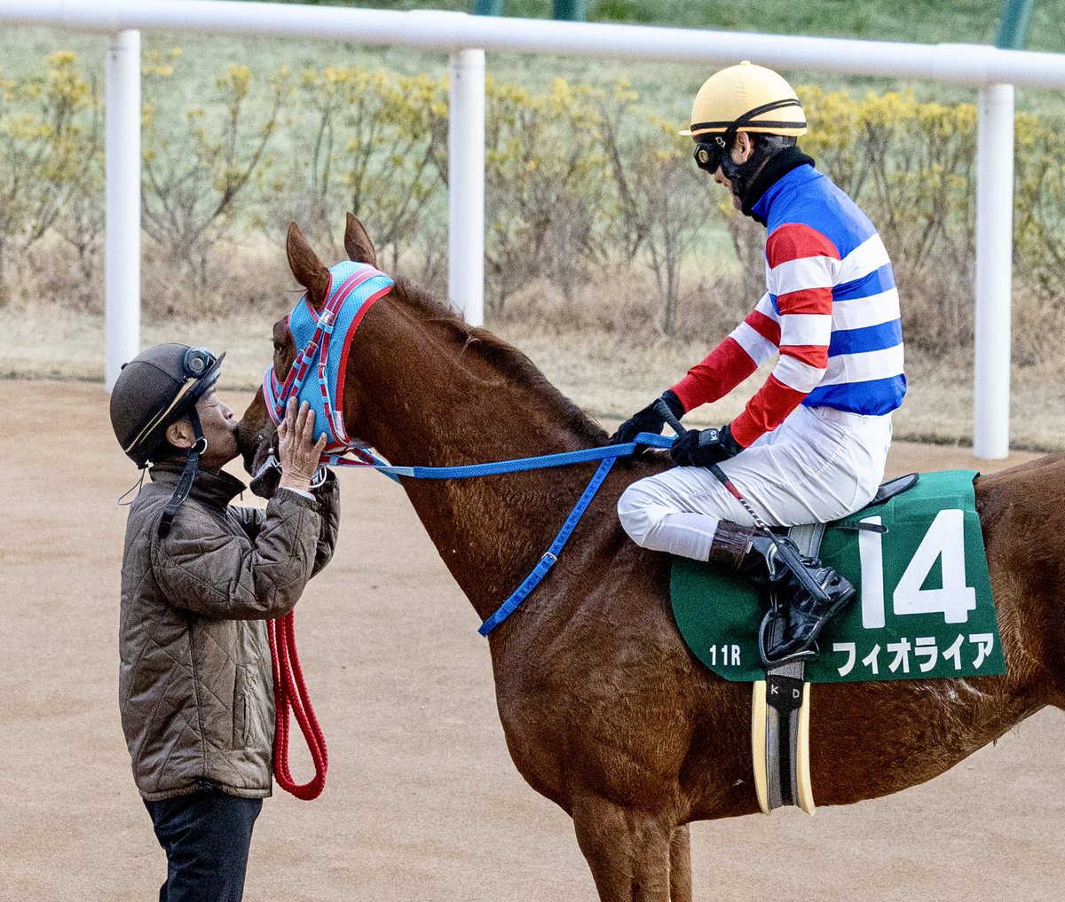 mari (@mari47901028) / Posts / X