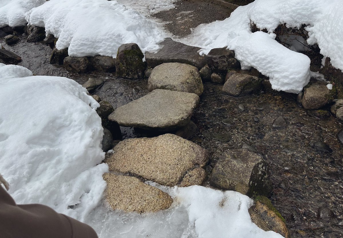 slo_program's tweet photo. 雪の兼六園なんか風情あって最高やろって行ったら、雪が険しくて足元ガン見で景色見てる場合じゃない。
生命の危険すら感じる。 https://t.co/NWYzMgY4lR