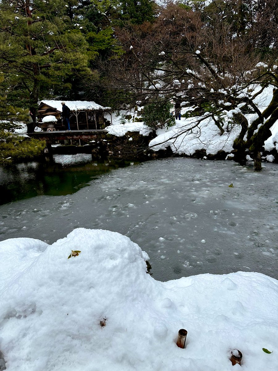 slo_program's tweet photo. 雪の兼六園なんか風情あって最高やろって行ったら、雪が険しくて足元ガン見で景色見てる場合じゃない。
生命の危険すら感じる。 https://t.co/NWYzMgY4lR
