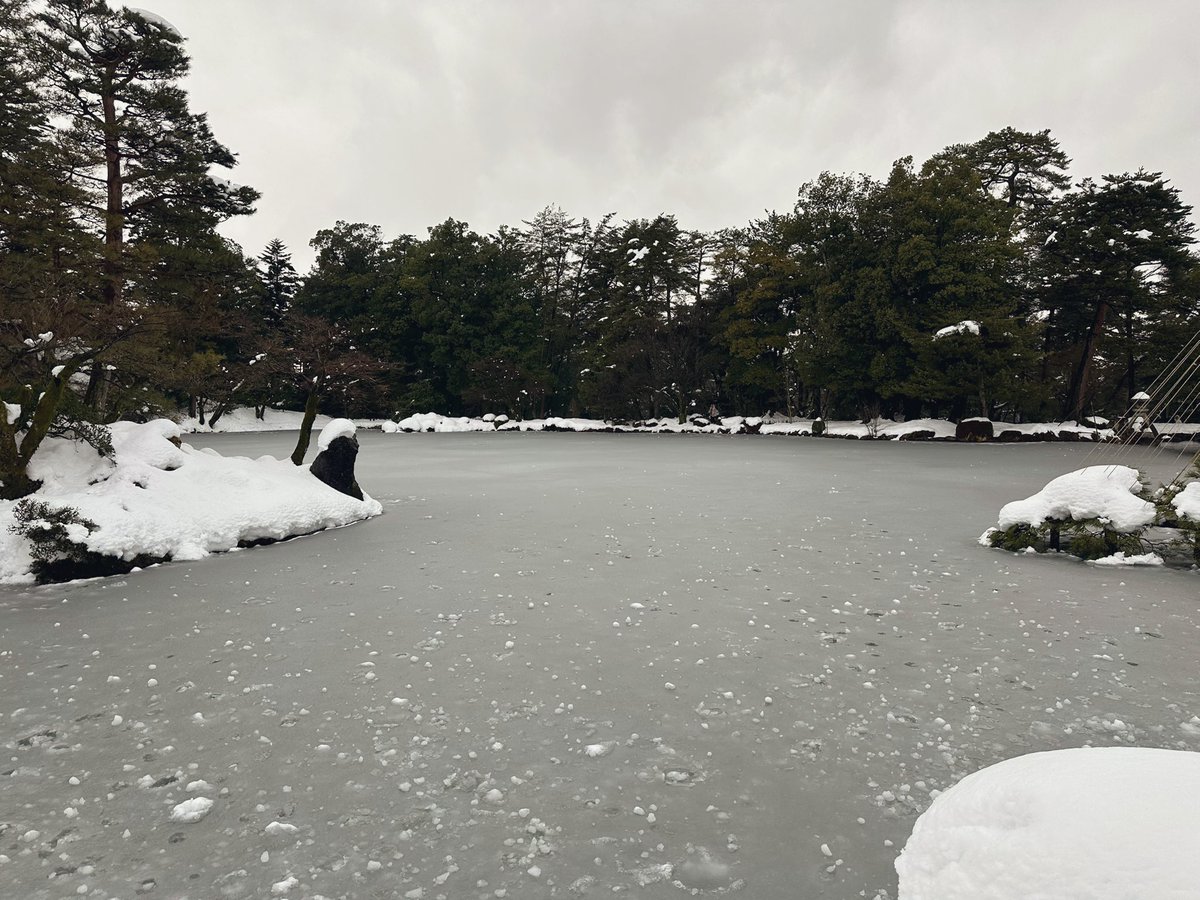 slo_program's tweet photo. 雪の兼六園なんか風情あって最高やろって行ったら、雪が険しくて足元ガン見で景色見てる場合じゃない。
生命の危険すら感じる。 https://t.co/NWYzMgY4lR