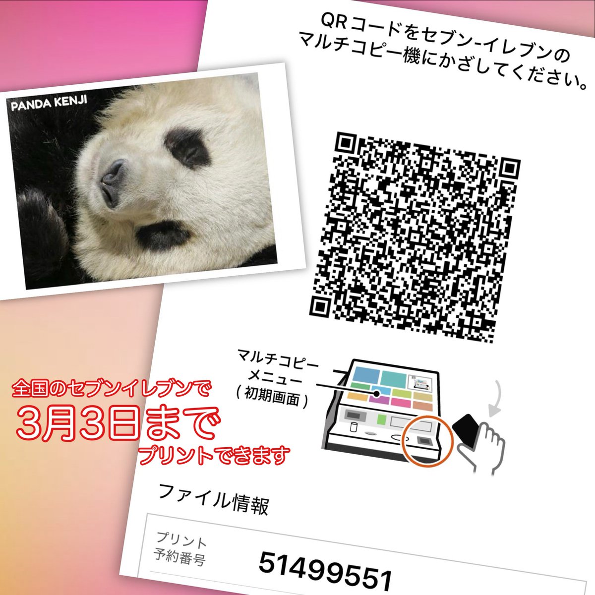 ポストカード配信しました‼️ 3月3日まで🐼