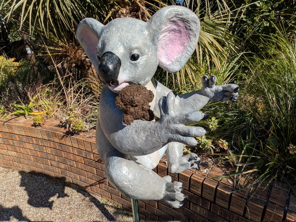 (家族連れと立派な望遠レンズを携えた人々に紛れながら)黒ちゃんと動物園🐨