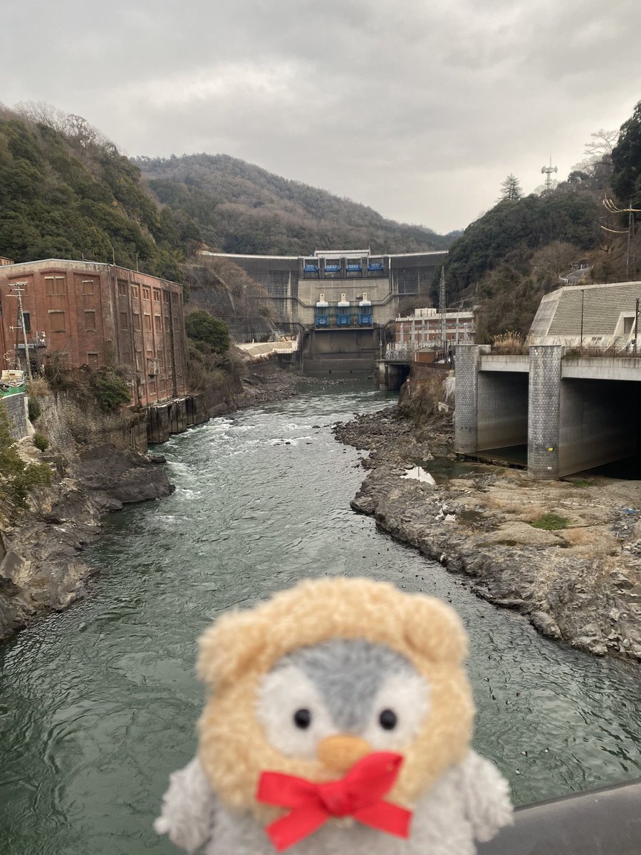 自転車キャンパー・ユウヤマン (@yuyama12) / Posts / X