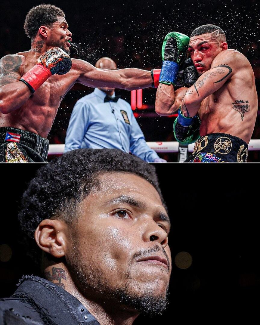 BoxeoMundial's tweet photo. "Se los he dicho durante mucho tiempo y ustedes simplemente no escuchan... Se los dije, soy el mejor de todos, soy el mejor del mundo". 🗣️ 📢 📣
Shakur Stevenson 🇺🇸 luego de vencer a Teófimo López 🇺🇸 🇭🇳 y coronarse campeón mundial OMB de las 140 libras 🏆 🥊 🔥
#Boxeo #Boxin… https://t.co/ZAJTvevFtj