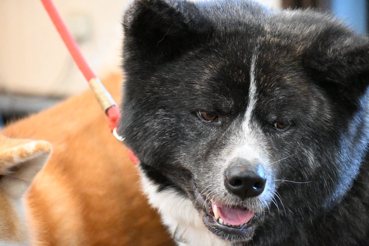 奥多摩にて撮影！！
自然すぎる！！