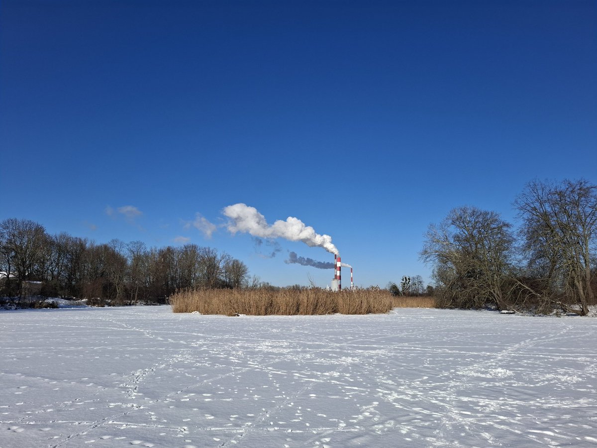 Pole_ishPodcast's tweet photo. 🥶 -14°C in Warsaw today. It's cold, but beautiful 🥶
#Warsaw #Poland #Winter https://t.co/HIeZYExHPy