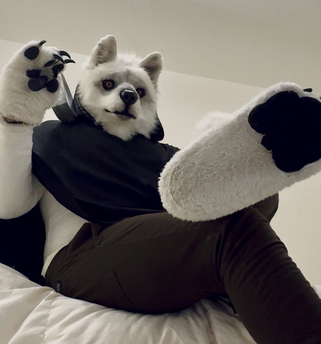 💀 Death Wolf 🐺 tweet media