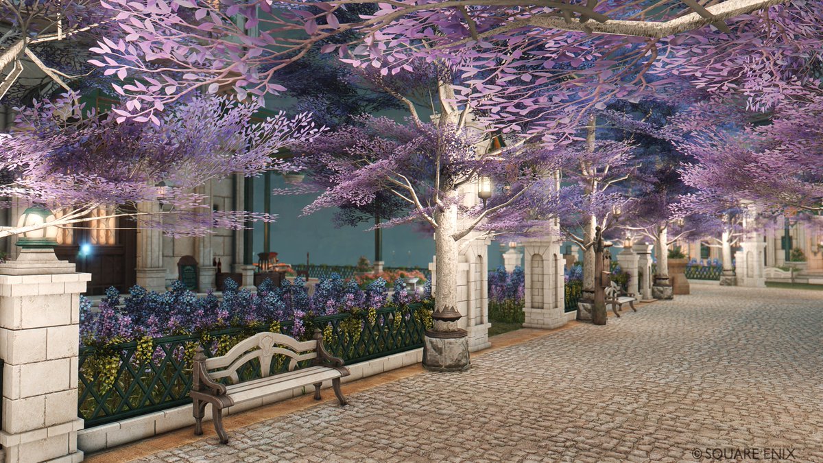 popo🌲ゼロムス並木道 tweet media