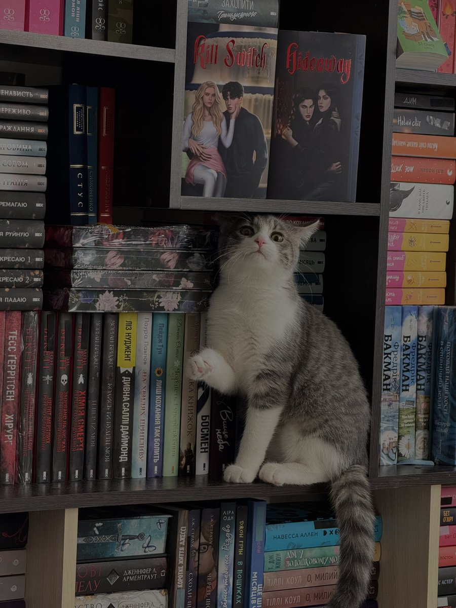 📚 _anastasiia_ 📚 tweet media