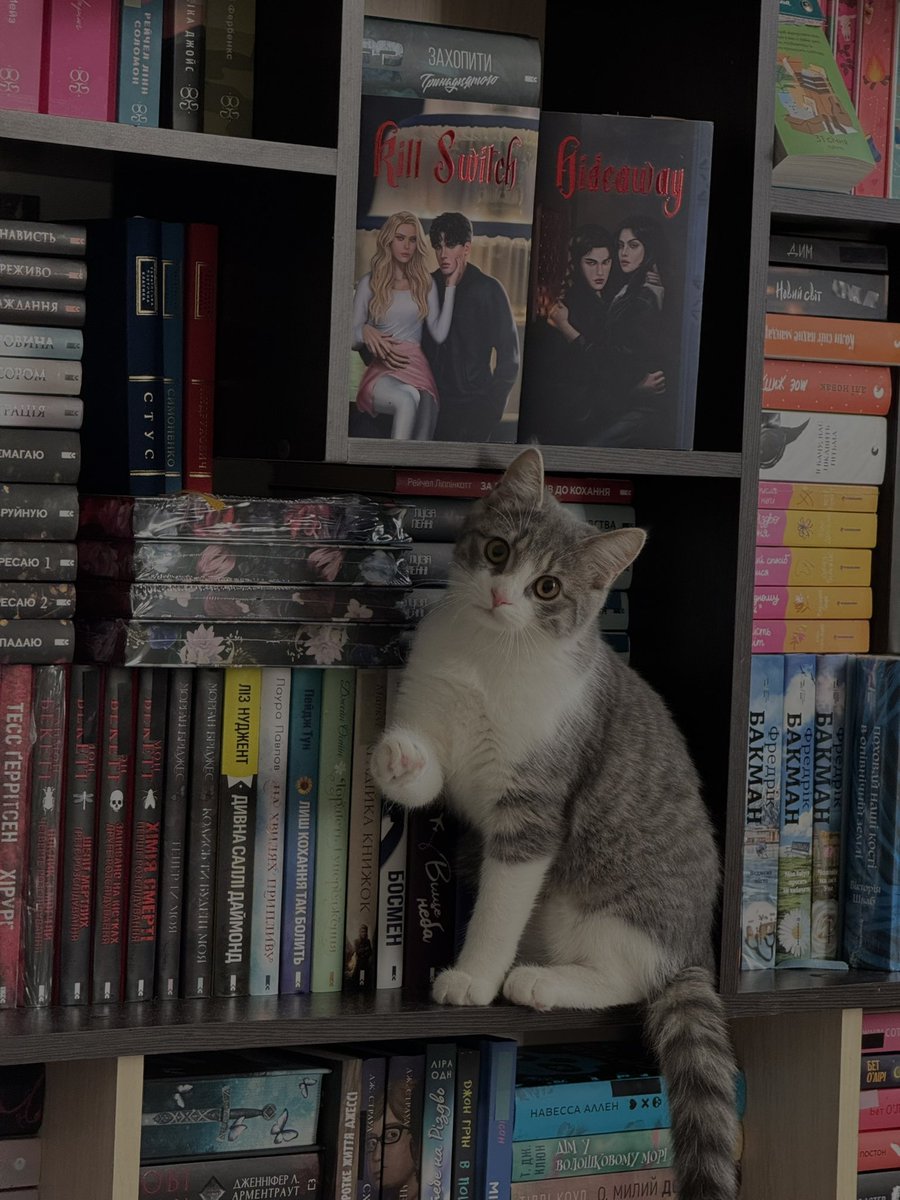 📚 _anastasiia_ 📚 tweet media