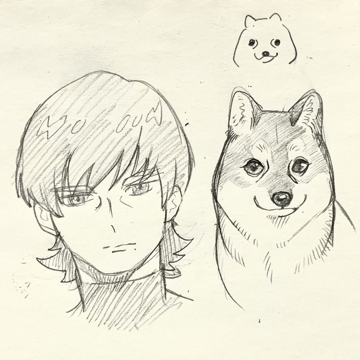 ザベ君の目と鼻の間にある窪みのような線
犬のマズルの輪郭描くときに描く線に似てるのでやはり犬だなと思うなど
幻覚 