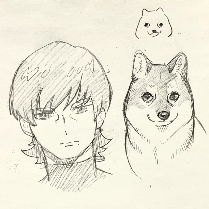 ザベ君の目と鼻の間にある窪みのような線
犬のマズルの輪郭描くときに描く線に似てるのでやはり犬だなと思うなど
幻覚 