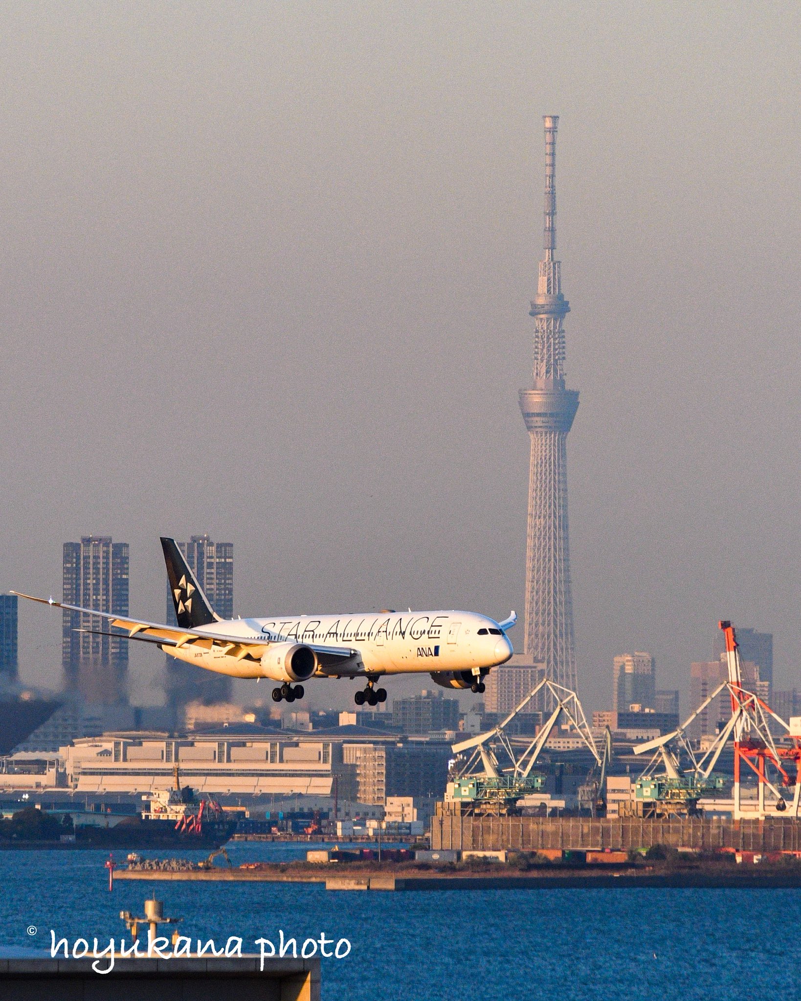 ほなうまかすなお в X: „🔵全日空 Boeing 787-9 (JA872A) 🔵 「スター