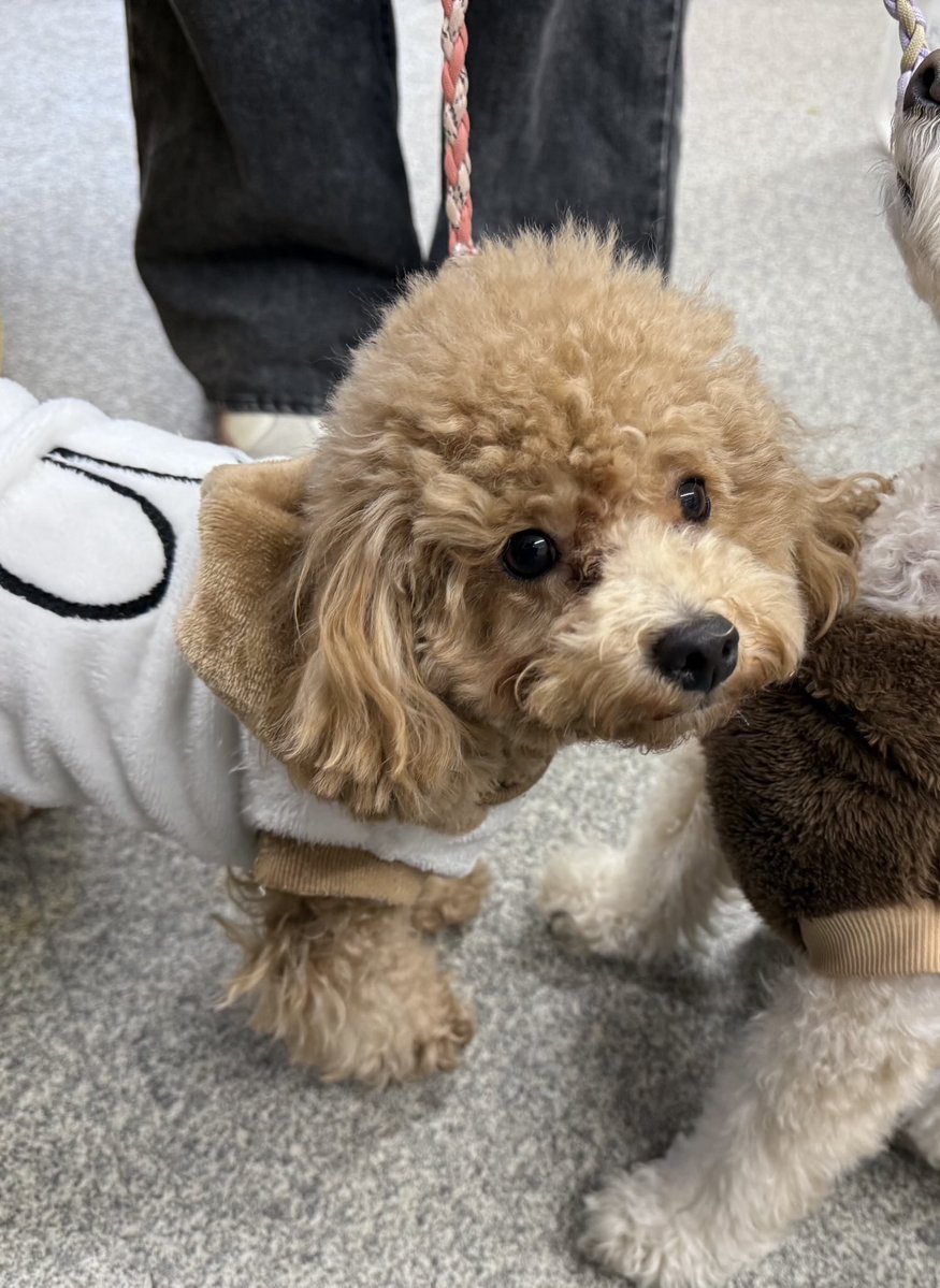 サスケくん💕
ご来店ありがとうございました☺️