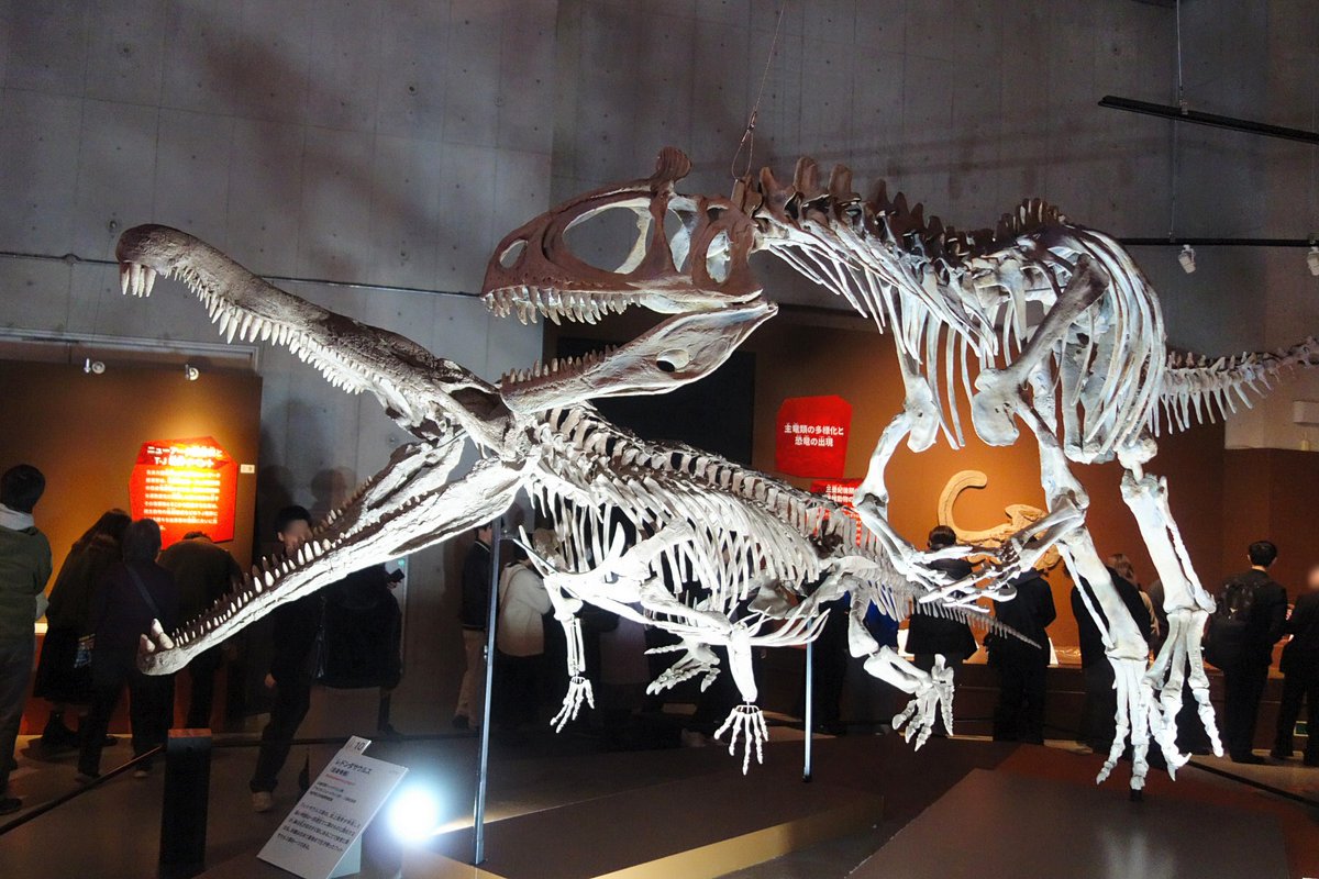 大絶滅展の画像。レドンダサウルスとクリオロフォサウルスの化石