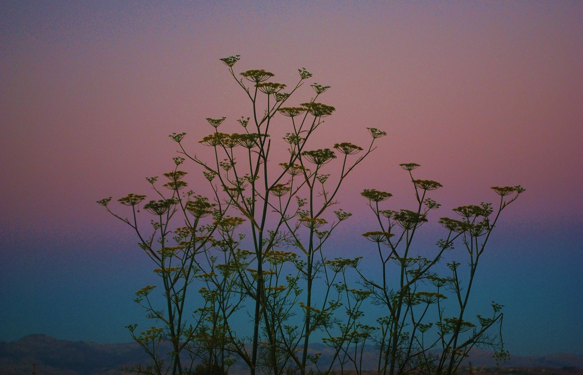 Rankins_hands ❤️🙌 🇺🇦 🐾 tweet media