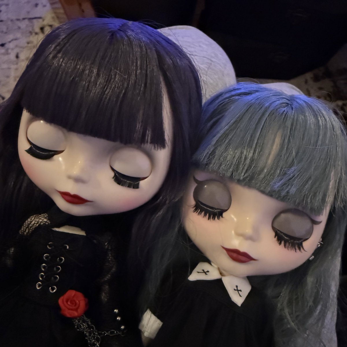 lucresilla_'s tweet photo. すやぁ… https://t.co/ajpbYoUp75
