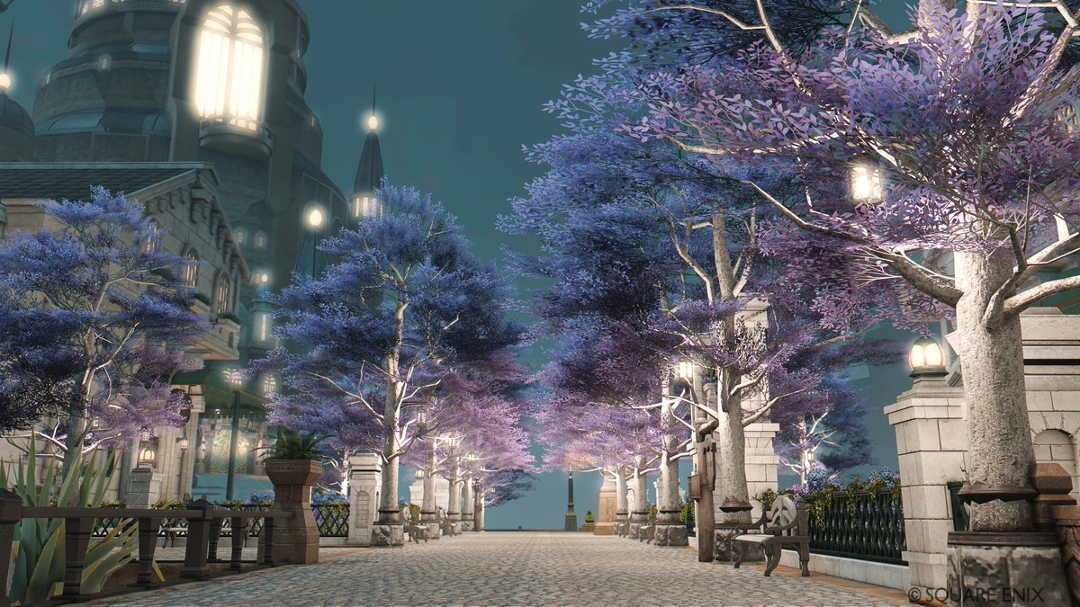 popo🌲ゼロムス並木道 tweet media