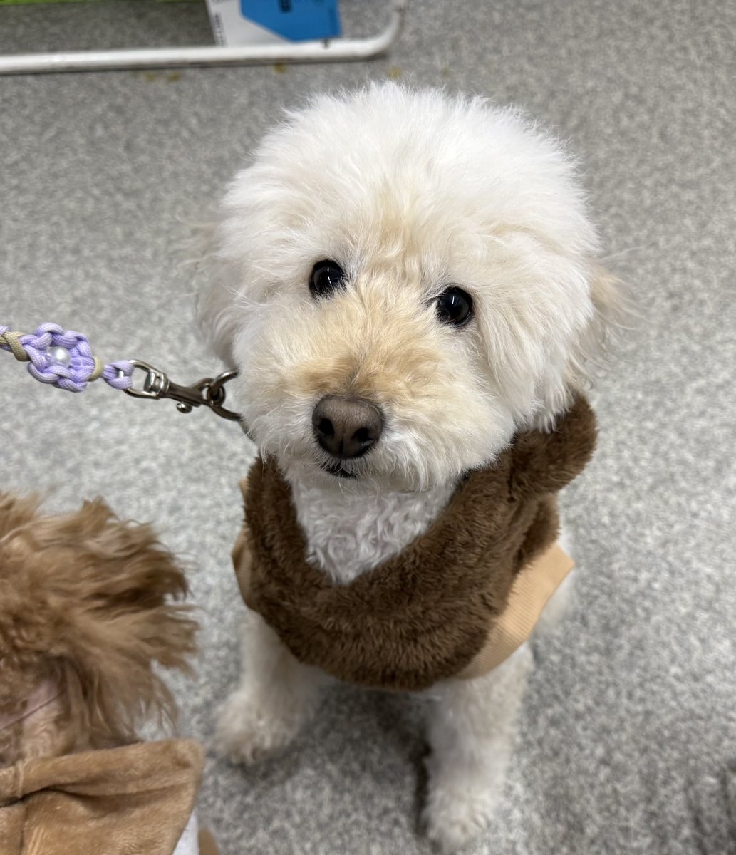 ぽんすけくん💕
ご来店ありがとうございました☺️