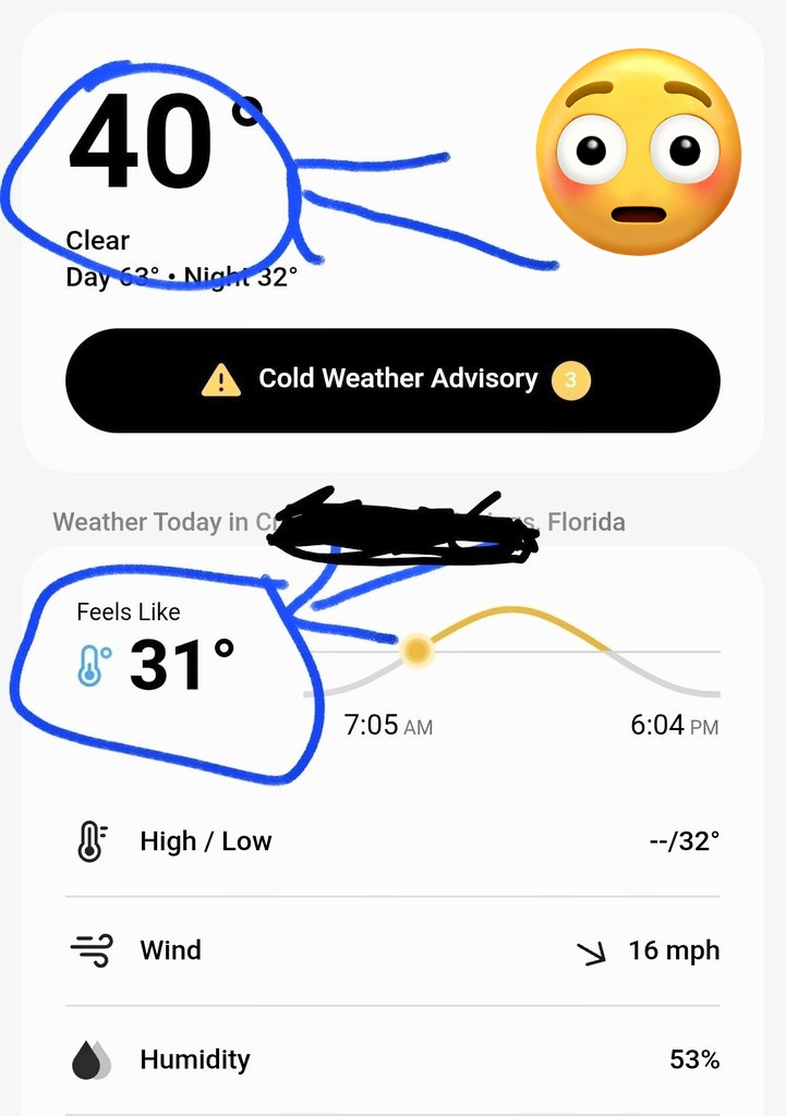 Gayle the Zebra Warrior tweet media