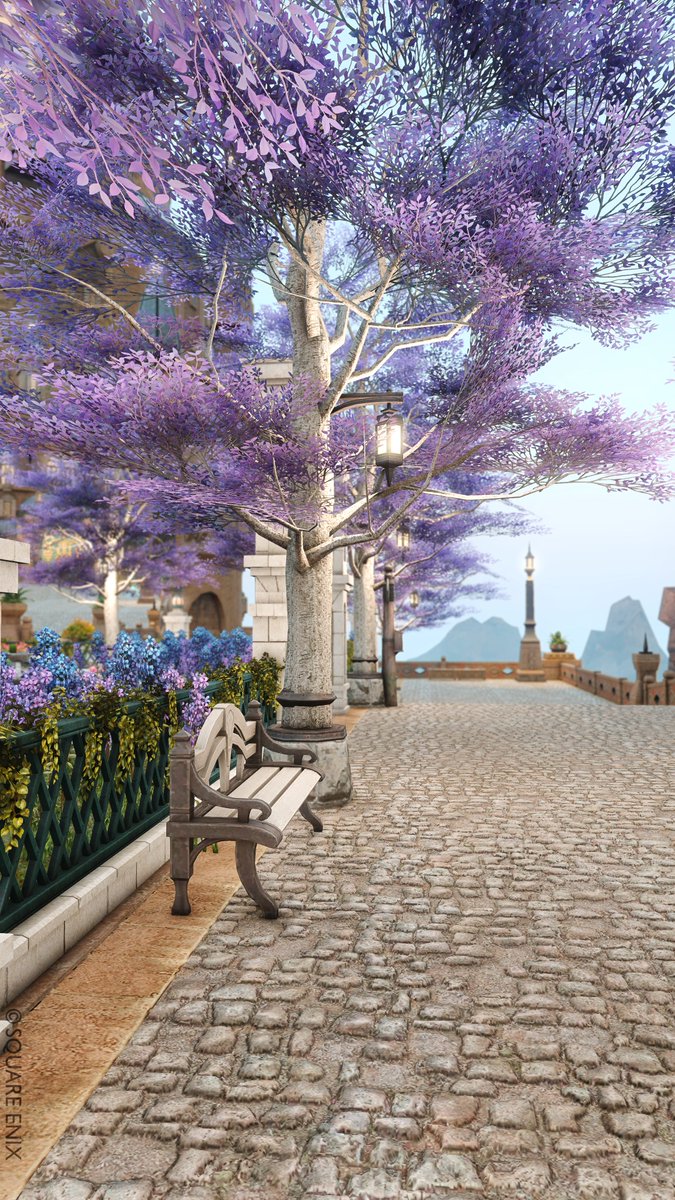 popo🌲ゼロムス並木道 tweet media