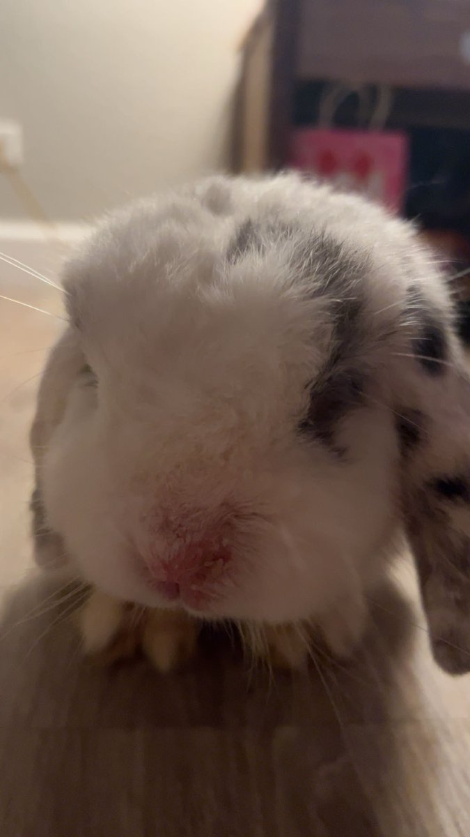 tbeomarr's tweet image. 3v3 $600 PSN HP SNIPING ONLY TOURNEY #Champs 
w/ @onlykso @itsZeqq 🏆