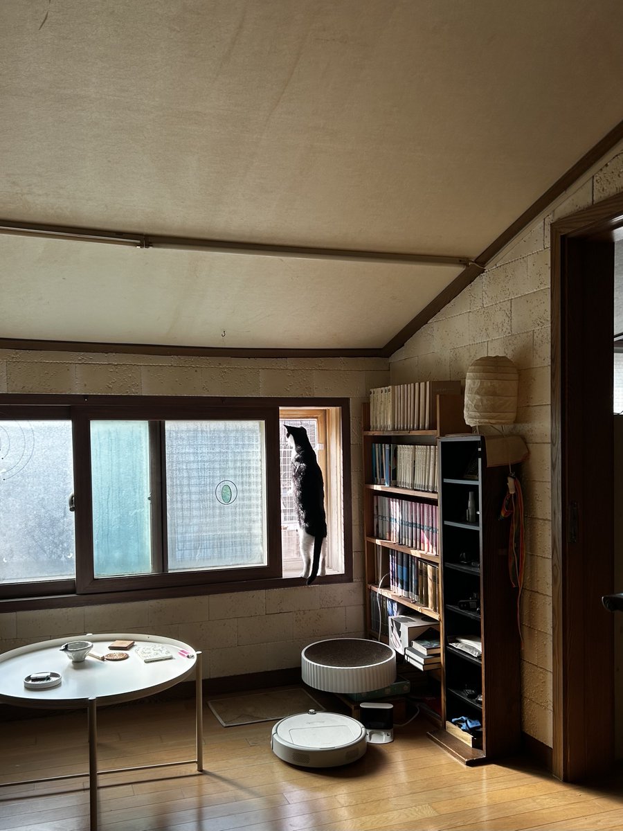 너무 새 보고 싶은 아이