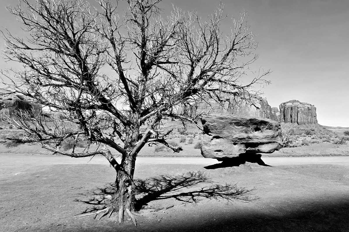 Durwin Pye tweet media